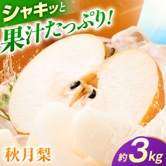 【ふるさと納税】【先行予約】秋月梨　約3kg 梨 ナシ フルーツ 果物 【日本フルーツ株式会社】[ZFJ062]
