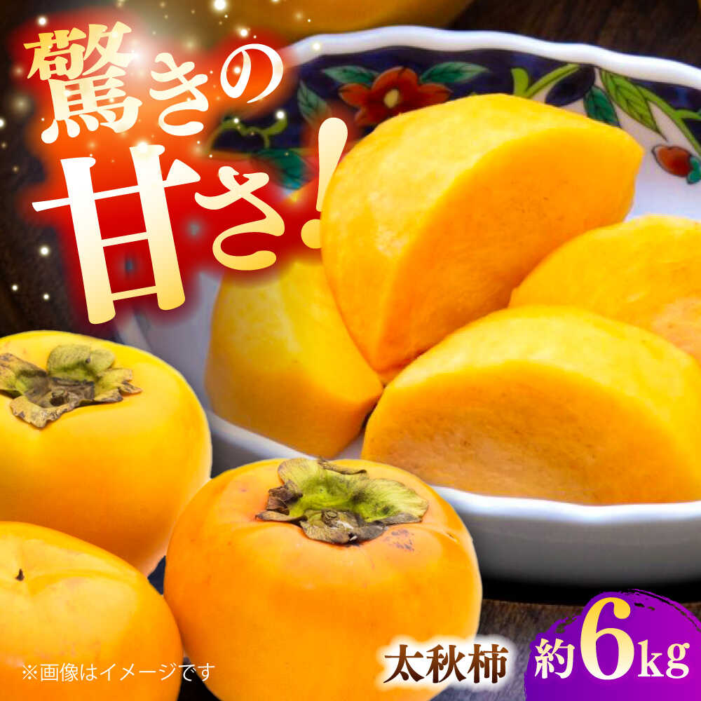 【ふるさと納税】【先行予約】太秋柿 約6kg 柿 カキ フルーツ 果物 秋 【日本フルーツ株式会社】[ZFJ071]｜熊本県山鹿市 20,300円