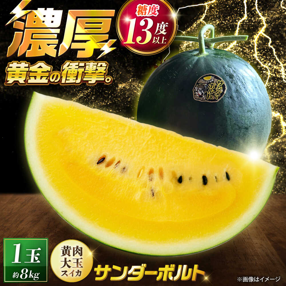 【ふるさと納税】【先行予約】 山鹿の恵み! 匠の育てたサンダーボルト　大玉スイカ(約8kg前後×1玉)【きもと農園】[ZFQ006]