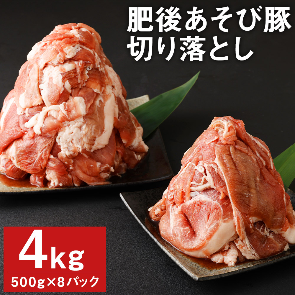 肥後あそび豚 切落し 500g×8パック 合計4kg ぶた ブタ 豚肉 肉 ブランド豚 切り落とし 国産 九州産 熊本県産 菊池市産 冷凍 送料無料  WEB限定