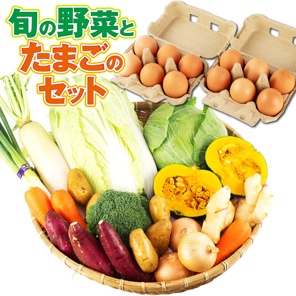 【ふるさと納税】旬の野菜とたまごのセット【メロンドーム】野菜 卵 にんにくたまご 詰め合わせ セット おまかせ ランダム 新鮮 国産 九州産 熊本県 菊池市 道の駅 春 旬 春野菜 送料無料《90日以内に出荷予定(土日祝除く)》