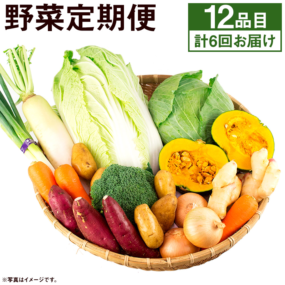 一部予約 旬の野菜定期便 計6回 旬の野菜12品 定期便 品種おまかせ ランダム 6ヶ月お届け 詰め合わせ セット 野菜 九州産 熊本県産 春 旬  春野菜 送料無料 fucoa.cl