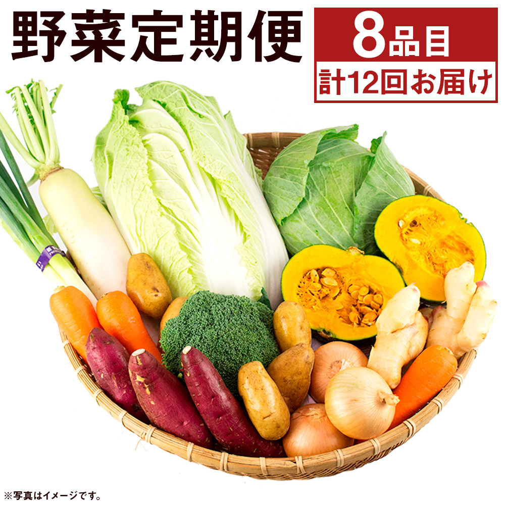 最大83%OFFクーポン 旬の野菜定期便 計12回 旬の野菜8品 定期便 品種おまかせ ランダム 12ヶ月お届け 詰め合わせ セット 野菜 九州産  熊本県産 春 旬 春野菜 送料無料 fucoa.cl