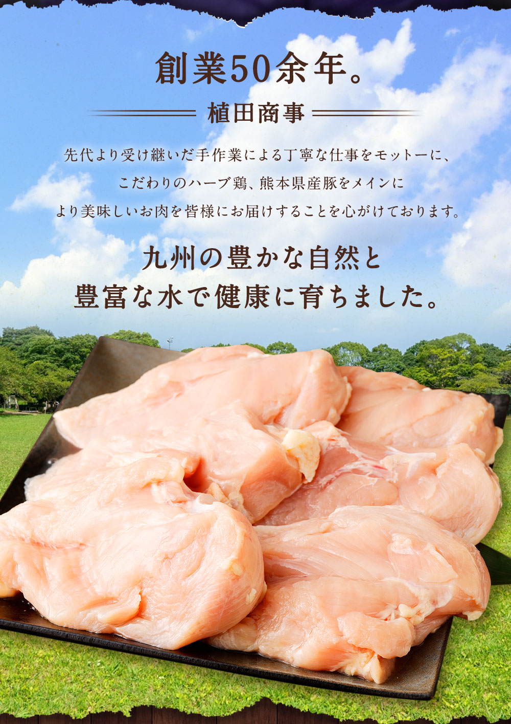ふるさと納税 九州産 ハーブ鶏 ムネ肉 5 8kg 鶏肉 むね肉 お肉 からあげ 親子丼 チキンカレー 煮物 サラダチキン 冷凍 国産 送料無料 Ceconsolidada Cl
