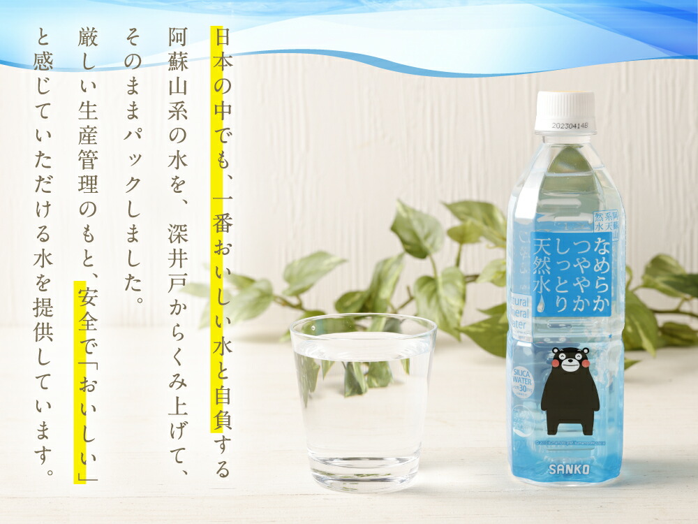 通販 激安◇ なめらかつややかしっとり天然水 500ml 合計288本 24本×2ケース×6ヶ月 天然水 軟水 鉱水 シリカ水 飲料水  ミネラルウォーター ドリンク ペットボトル 熊本県 菊池市 定期便 6ヶ月お届け 6回お届け 送料無料 fucoa.cl