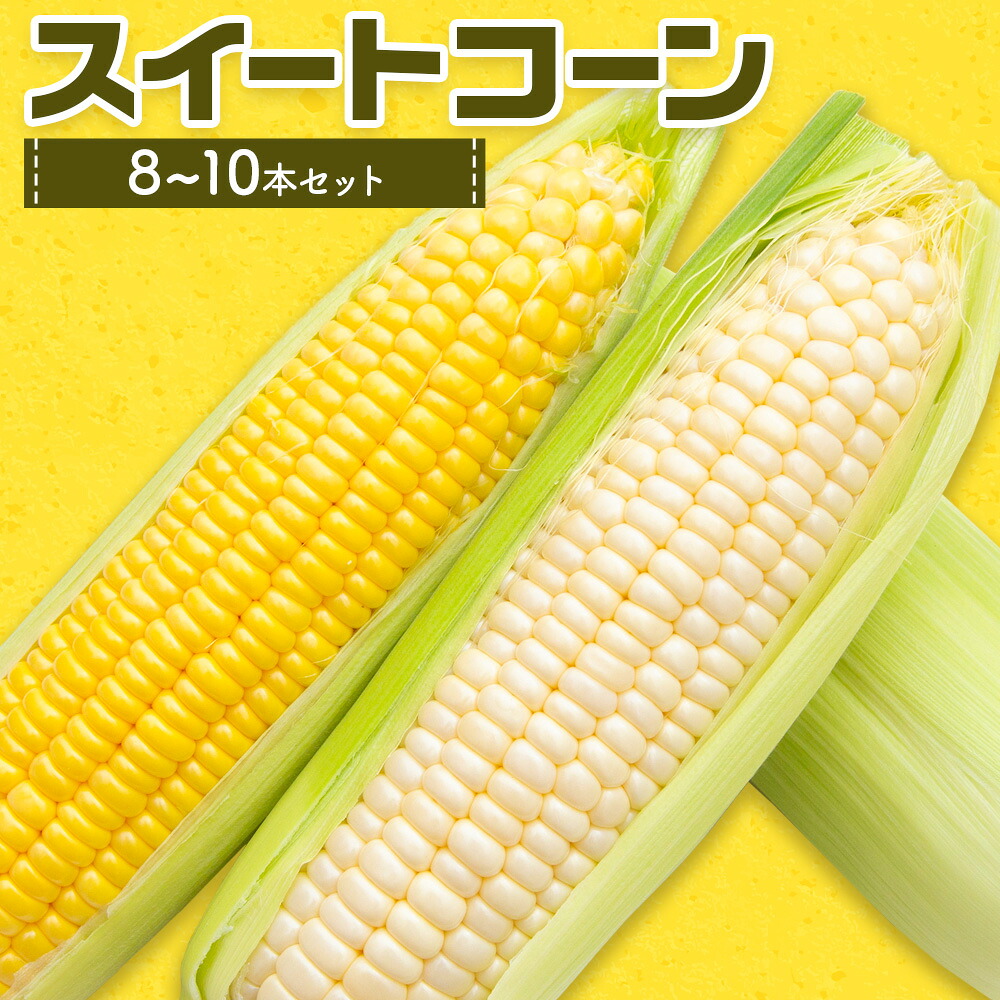 【ふるさと納税】スイートコーンセット 8～10本【養生市場】 コーン とうもろこし 品種おまかせ ランダム 野菜 九州産 熊本県産 送料無料《5月上旬-6月末頃出荷》