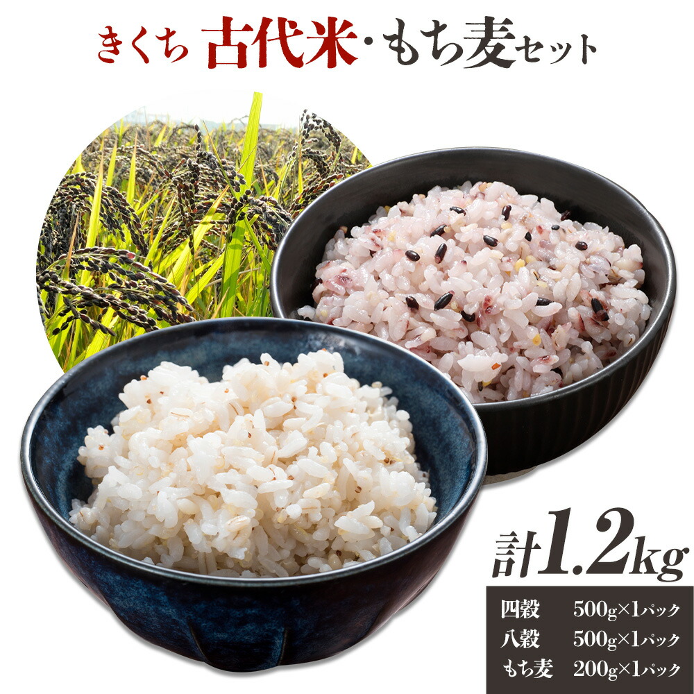 【ふるさと納税】きくち古代米・もち麦 セットA ファームきくち 四穀 八穀 500g×1パック もち麦 200g×1パック セット 有限会社七城町特産品センター《90日以内に出荷予定(土日祝除く)》熊本県 菊池市 雑穀米 お米 米 もち麦 菊池市産 熊本県産 九州産