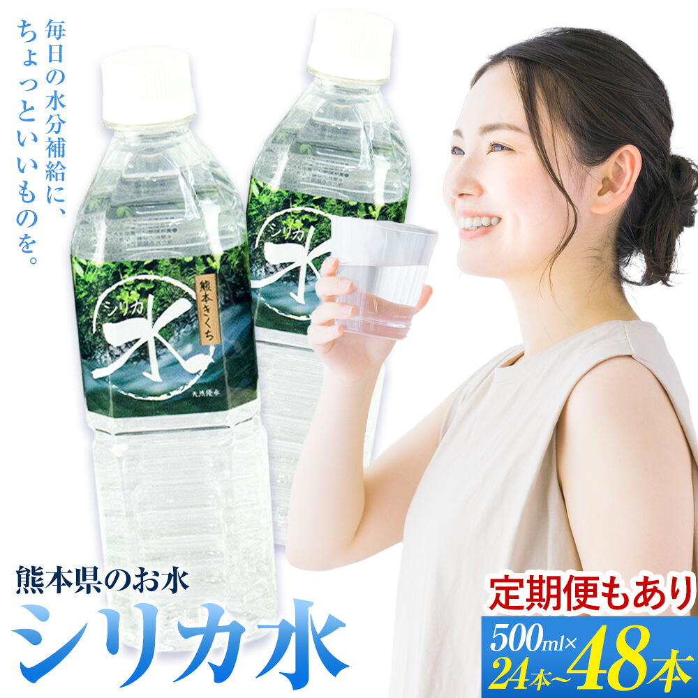 【ふるさと納税】【定期便あり】水 シリカ水 選べる 500ml × 24本 48本 定期便年6回 有限会社七城町特産品センター メロンドーム 《30日以内に出荷予定(土日祝除く)》《お申し込みの翌月から出荷》 熊本県 菊池市 水 飲料 ドリンク 清涼飲料水 ペットボトル 定期便 送料無料|熊本県菊池市