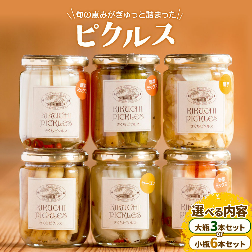 【ふるさと納税】ピクルス 大瓶 3本セット 【メロンドーム】 約260g×3本 6本 ピクルス 野菜 酢漬け 漬物 おつまみ 旬の野菜 《30日以内に出荷予定(土日祝除く)》|熊本県菊池市