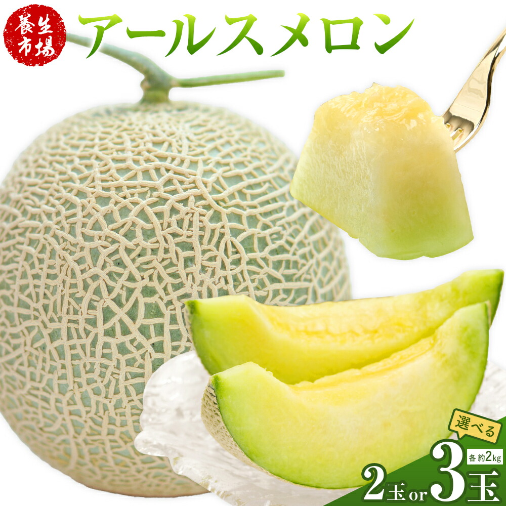 【ふるさと納税】アールスメロン 約2kg&times;2玉 3玉 (約4kg 約6kg)【養生市場】メロン 果物 フルーツ マスクメロン 九州産 熊本県産 送料無料 《2026年10月中旬-11月中旬頃出荷予定》｜熊本県菊池市 15,120円
