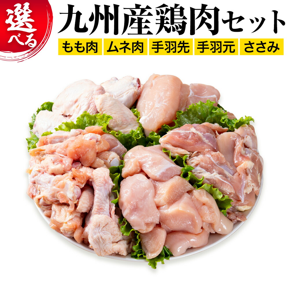 【ふるさと納税】【選べる10種】約2.4kg～6.6kg 九州産 鶏肉 若鶏 もも肉／ムネ肉 ／もも肉･ムネ肉／もも肉･手羽元／もも肉･ムネ肉･手羽元／もも肉･手羽先／手羽先･手羽元／ムネ肉 ･ささみ／もも肉･むね肉･ささみ･手羽先･手羽元 ／90日以内に出荷予定(土日祝除く)