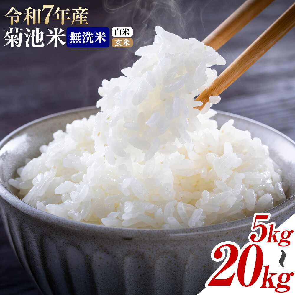 【ふるさと納税】令和7年産 熊本県産 菊池米 無洗米 白米 玄米 5kg/10kg/20kg 定期便 選べる内容量 1袋5kg 米 お米 九州産 熊本県産 送料無料《出荷時期をお選びください》玄米 無洗米 白米 米　くまもとごはん