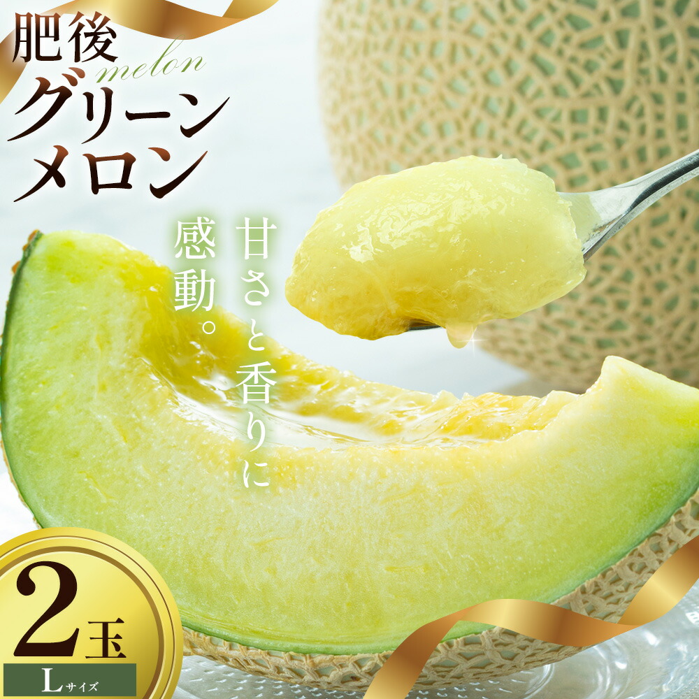 【ふるさと納税】【先行予約】 メロン 肥後グリーンメロン 中 Lサイズ 2玉 約1.4～1.6kg×2 MOTOYAMA358FARM 《2026年4月中旬-6月中旬頃出荷》 熊本県 菊池市 メロン 果物 フルーツ 九州産 国産 送料無料