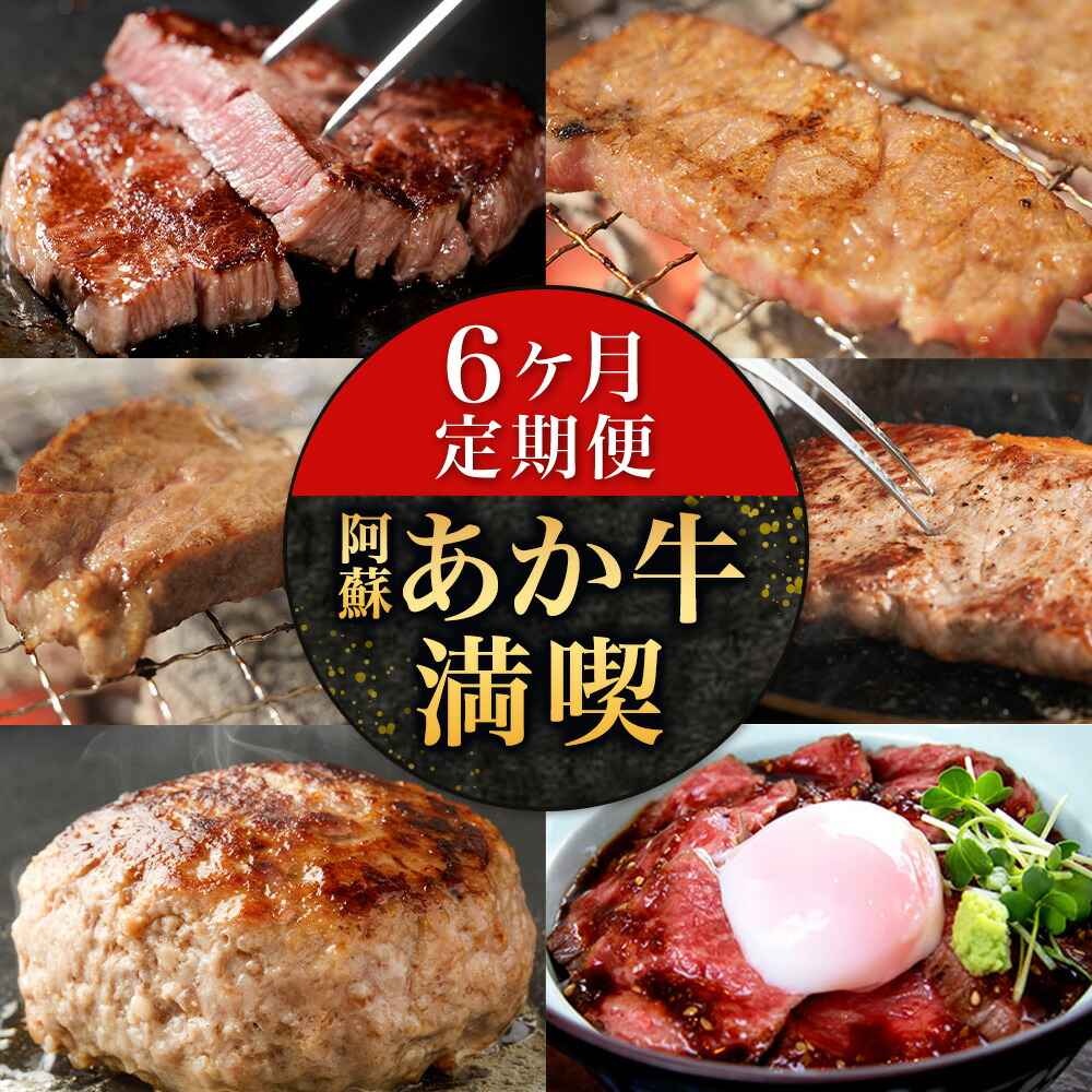 【ふるさと納税】【6ヶ月定期便】阿蘇あか牛満喫セット 株式会社LARKS《お申込み月の翌月から出荷開始》肉 牛肉 あか牛 ローストビーフ ハンバーグ 冷凍 名物 熊本県 毎月届く 送料無料