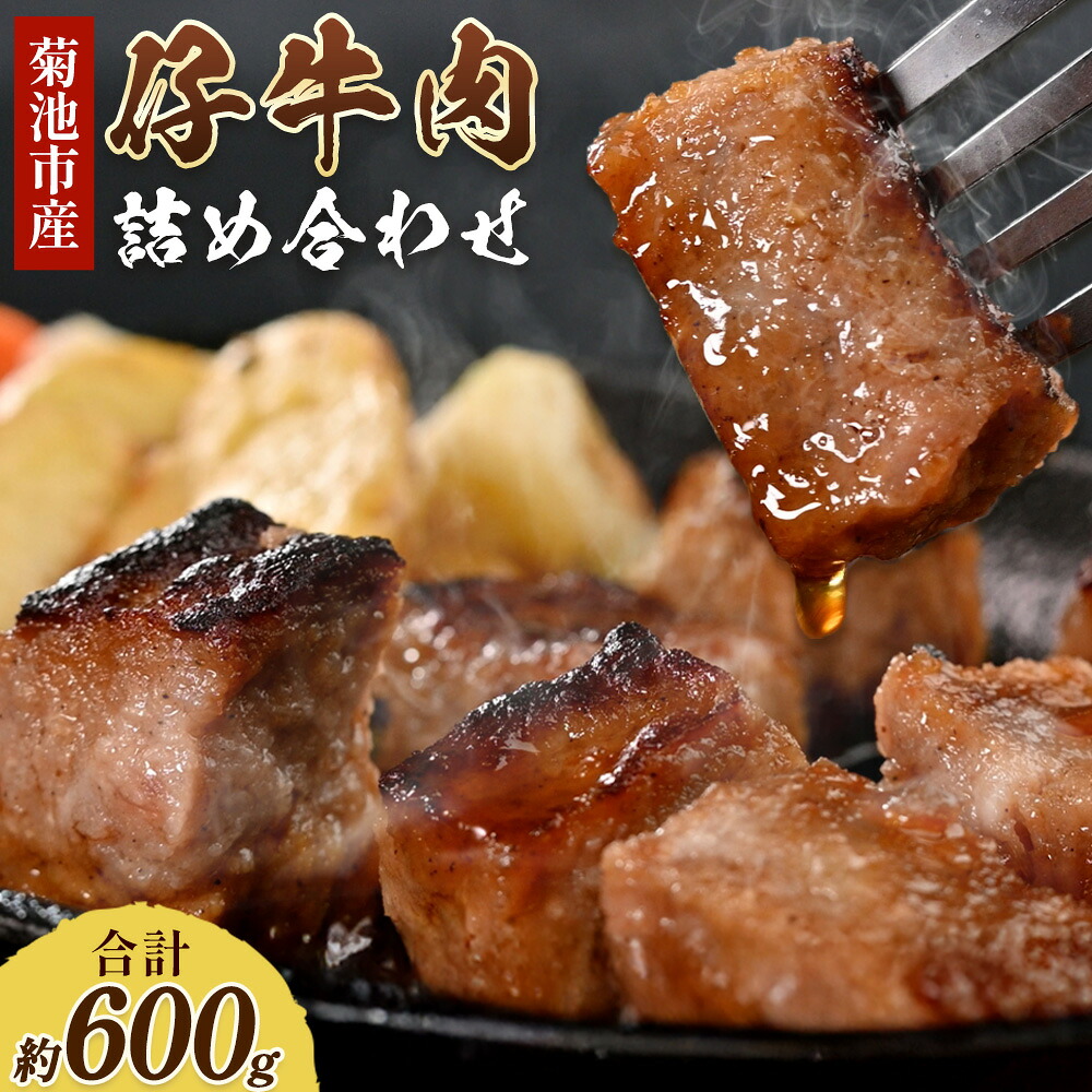 【ふるさと納税】菊池市産 仔牛肉詰め合わせ 合計約600g セット 宮川ファーム《90日以内に出荷予定(土日祝除く)》 部位おまかせ ランダム お肉 牛肉 ジャージー仔牛肉 国産 熊本県産 九州産 冷凍 送料無料|熊本県菊池市