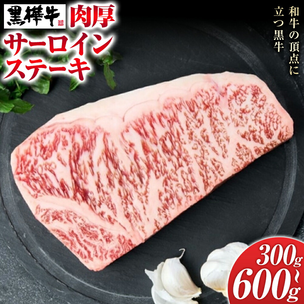 【ふるさと納税】くまもと黒毛和牛 黒樺牛 A4～A5等級 肉厚サーロインステーキ 選べる 内容量 300g 600g 株式会社杉本本店 《90日以内に出荷(土日祝除く)》熊本県 菊池市 特大 牛肉 牛 肉厚 お肉 ステーキ 黒毛和牛 国産 九州産 熊本県産 冷凍 送料無料