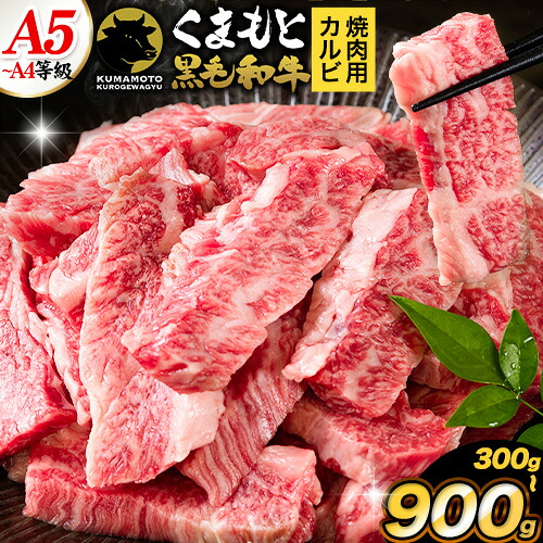 【ふるさと納税】ふるさと納税 A4～A5等級 黒毛和牛 切り落とし 上 カルビ 焼肉 切り落とし 300g 600g 900g《7-14日以内に出荷予定(土日祝除く)》くまもと黒毛和牛 熊本県 菊池市 上カルビ 焼肉用 黒毛和牛 焼肉 肉 お肉 和牛 A5 A4 300g 小分け｜熊本県菊池市