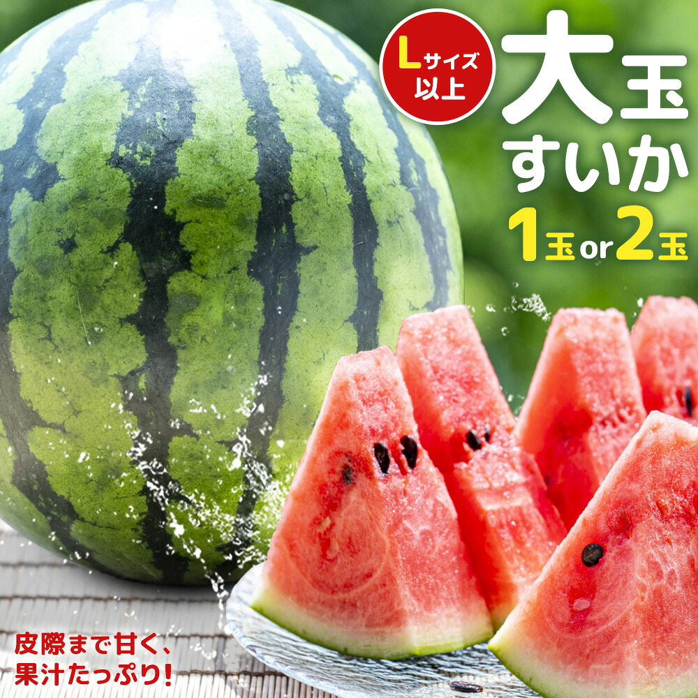 【ふるさと納税】【先行予約】大玉すいか 選べる内容量 1玉 約5kg または 2玉 約10kg 日本フルーツ株式会社《出荷時期をお選びください》熊本県 菊池市 すいか スイカ 大玉 熊本県産