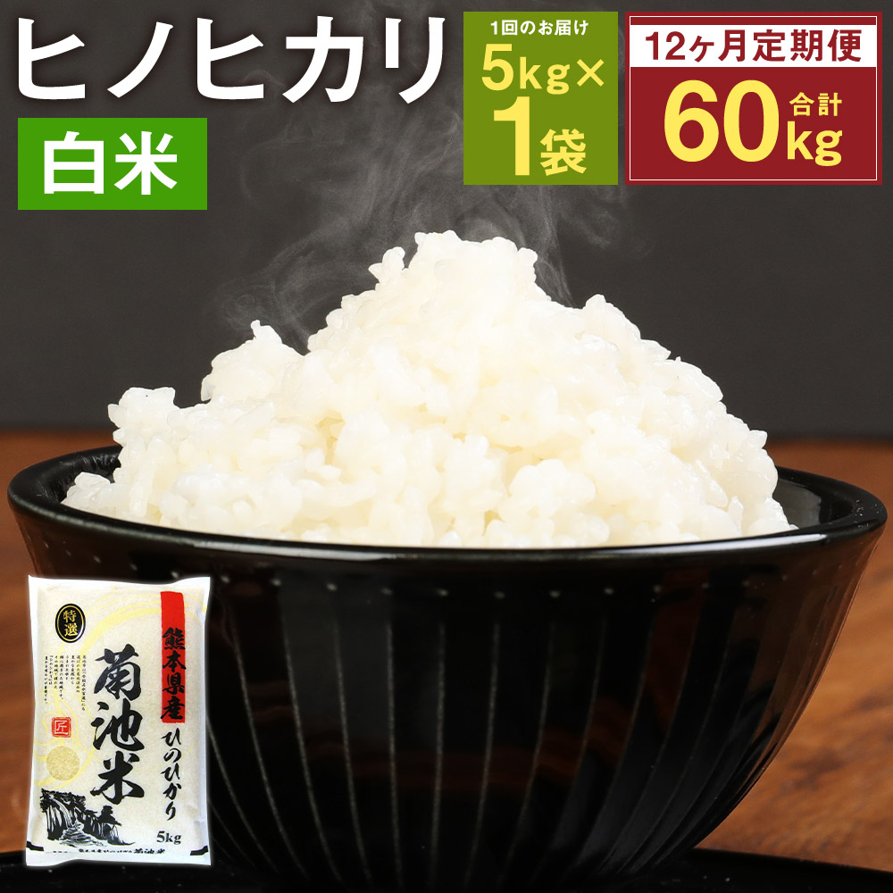 楽天市場】【ふるさと納税】【12ヶ月定期便】熊本県菊池産 ヒノヒカリ 5kg×2袋×12回 合計120kg 12回お届け 精米 お米 白米 令和3年産  九州産 熊本県産 送料無料 お買い物マラソン : 熊本県菊池市