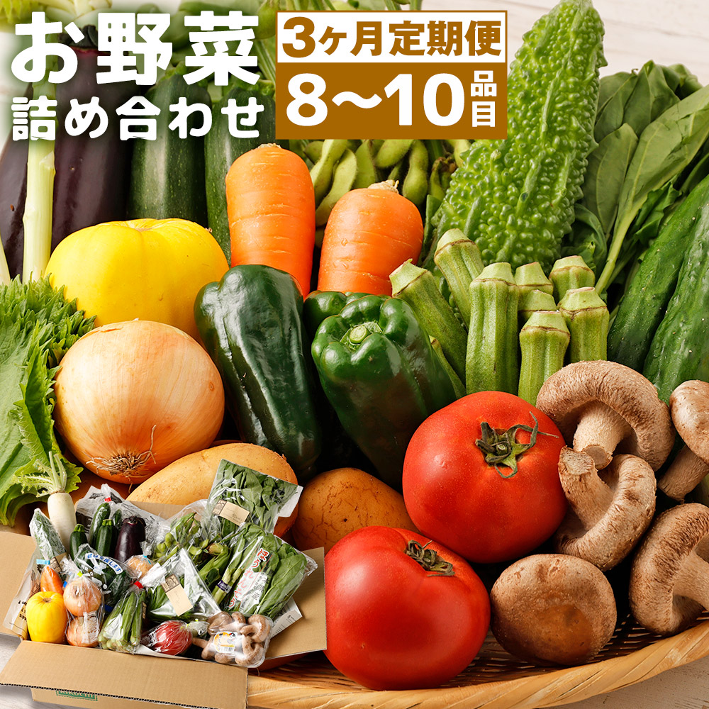 うのにもお得な 阿蘇の伏流水をたっぷり含んだお野菜詰め合わせ 8品 10品 3回お届け 野菜 定期便 旬の野菜 九州産 熊本県産 菊池市産 送料無料 Fucoa Cl