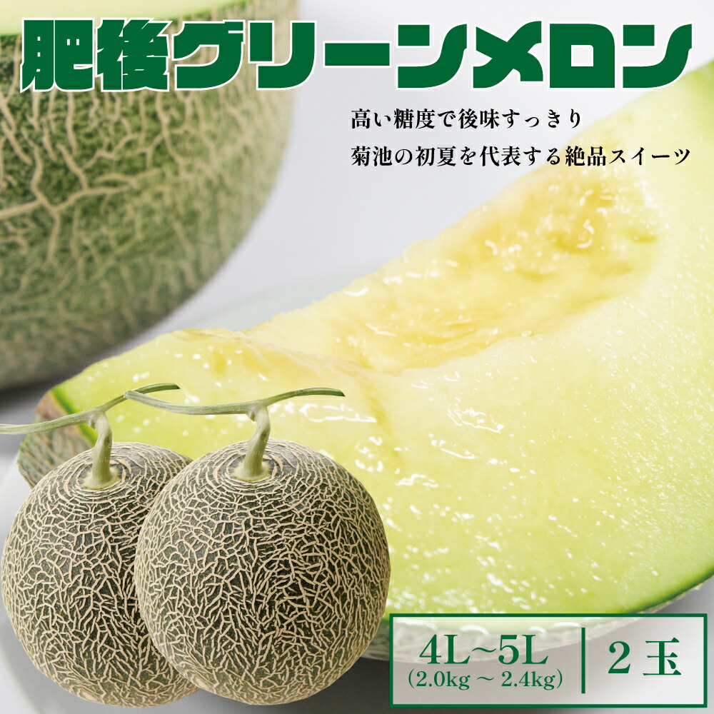 【ふるさと納税】肥後グリーンメロン 特大 4L～5Lサイズ 2玉 1玉約2～2.4kg メロン 果物 フルーツ 菊池市産 熊本県産 九州産 国産 送料無料 【2025年5月上旬～6月下旬に順次発送予定】