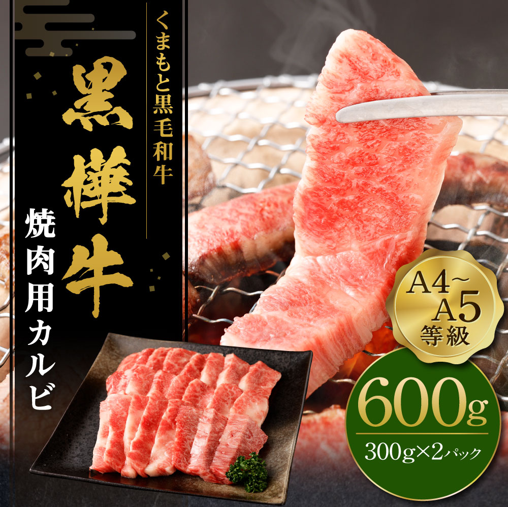 豪華ラッピング無料 くまもと黒毛和牛 黒樺牛 A4〜A5等級 焼肉用カルビ 300g×2パック 合計600g 牛肉 牛 霜降り 赤身 お肉 焼き肉  BBQ 黒毛和牛 国産 九州産 熊本県産 冷凍 送料無料 qdtek.vn