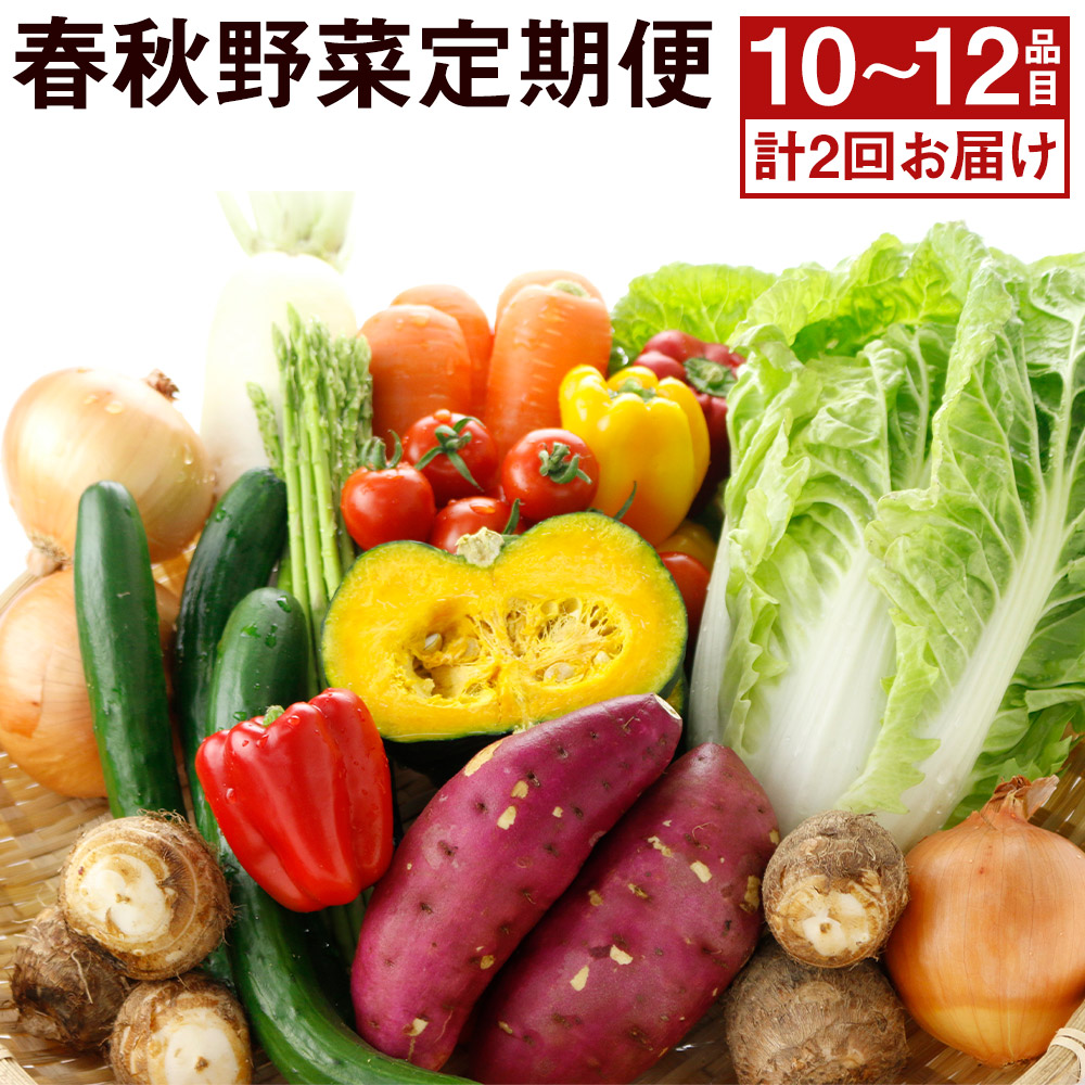 在庫有り お買い得 野菜セットA（キャベツ2玉・ピーマン約1kg