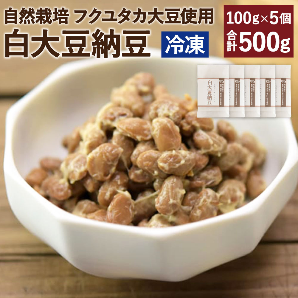 市場 ふるさと納税 自然栽培 きくち村の白大豆納豆 100g×5個 セット フクユタカ大豆使用 納豆 合計500g