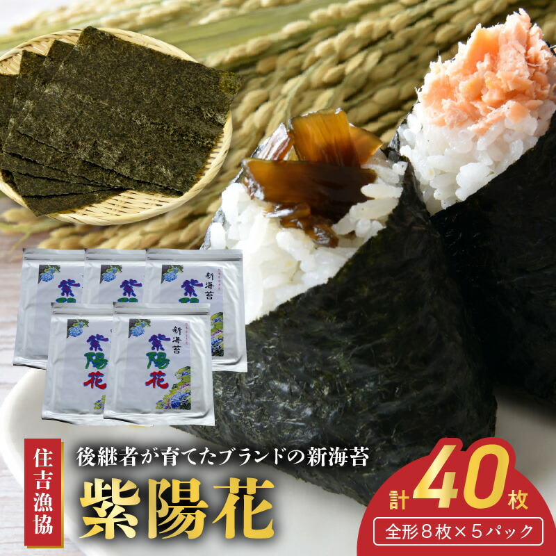 【ふるさと納税】住吉漁協 後継者が育てたブランドの新海苔「紫陽花」(全形８枚×５パック)【熊本県宇土市】