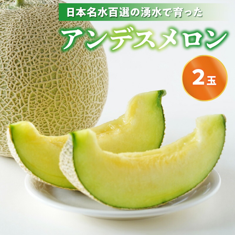 【ふるさと納税】6月中旬より発送予定 進栄 アンデスメロン 2玉 日本名水百選 轟水源 湧水で育った メロン 果肉 ジューシー 香り 甘い お取り寄せ お取り寄せフルーツ 果物 フルーツ 九州 九州産 熊本 熊本県産 送料無料 【熊本県宇土市】