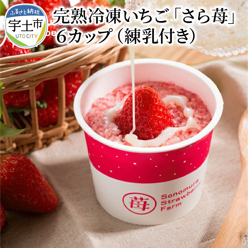 【ふるさと納税】園村苺園　熊本県宇土産 完熟冷凍いちご「さら苺」６カップ　練乳付き【熊本県宇土市】