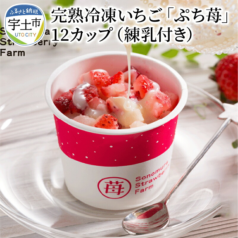 【ふるさと納税】園村苺園 宇土産 完熟冷凍いちご「ぷち苺」50ｇ×12カップ　練乳付き【熊本県宇土市】