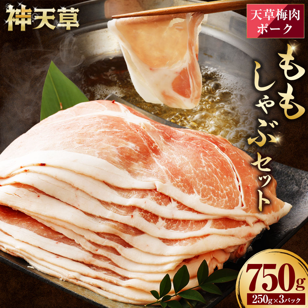 【ふるさと納税】（飼育期間中）完全無薬！梅肉エキス肥育 天草梅肉ポークモモしゃぶセット 750g 肉 お肉 熊本県産 上天草産 九州産 梅肉 豚肉 ポーク しゃぶしゃぶ モモ肉 冷凍 送料無料