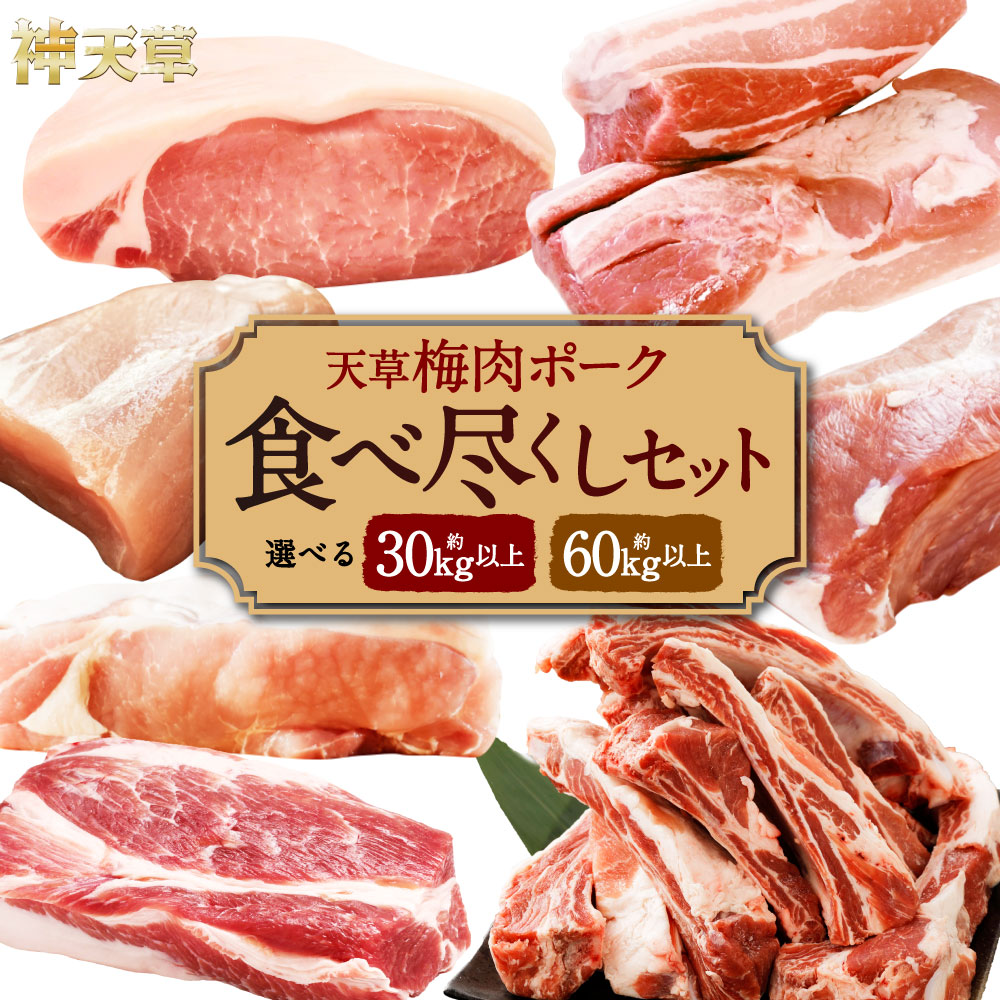 【ふるさと納税】【豚半頭分or豚1頭分！】完全無薬！梅肉エキス肥育熊本県産 天草梅肉ポーク 食べ尽くしセット 半頭 約30kg以上 または 一頭 約60kg以上 肉 お肉 豚肉 豚 ポーク 梅肉ポーク 詰め合わせ 食べ比べ セット 冷凍 熊本県 上天草市 送料無料