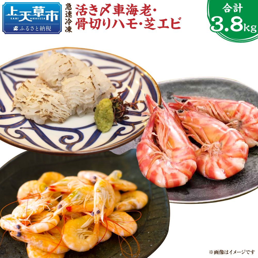 ふるさと納税 熊本天草産 急速冷凍 冷凍車海老1kg 骨骨切りハモ800g 芝エビ2kg 合計3 8kg 海老 車海老 くるまえび 活き 芝えび ハモ 骨切り 芝海老 海老 海鮮 国産 九州産 熊本県産 冷凍 送料無料 Sandjfisheries Co Uk