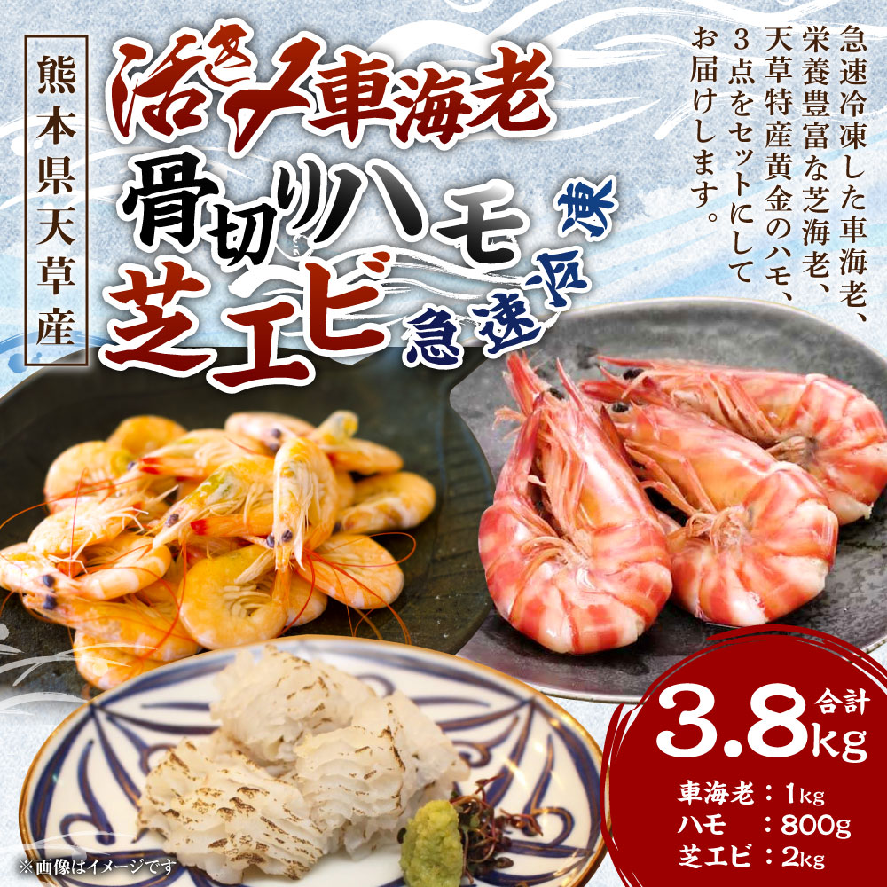 ふるさと納税 熊本天草産 急速冷凍 冷凍車海老1kg 骨骨切りハモ800g 芝エビ2kg 合計3 8kg 海老 車海老 くるまえび 活き 芝えび ハモ 骨切り 芝海老 海老 海鮮 国産 九州産 熊本県産 冷凍 送料無料 Sandjfisheries Co Uk