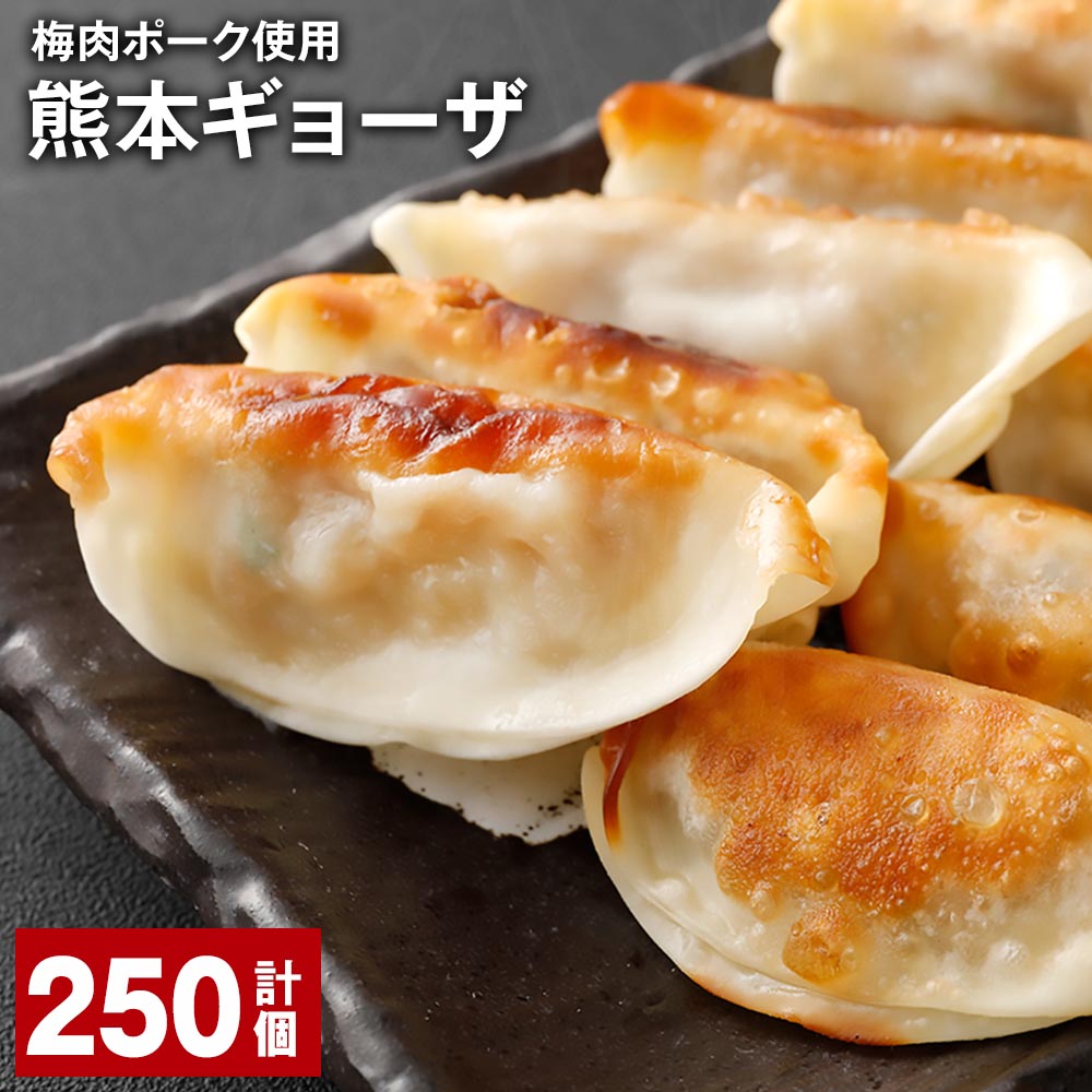 【ふるさと納税】梅肉ポーク使用 熊本ギョーザ 計250個 餃子 ぎょうざ 豚肉 お肉 野菜 点心 惣菜 冷凍 国産 熊本県 上天草市 送料無料｜熊本県上天草市