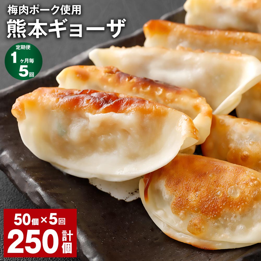 【ふるさと納税】【定期便】【1ヶ月毎5回】梅肉ポーク使用 熊本ギョーザ 計250個（50個&times;5回） 餃子 ぎょうざ 豚肉 お肉 野菜 点心 惣菜 冷凍 国産 熊本県 上天草市 送料無料｜熊本県上天草市 26,640円