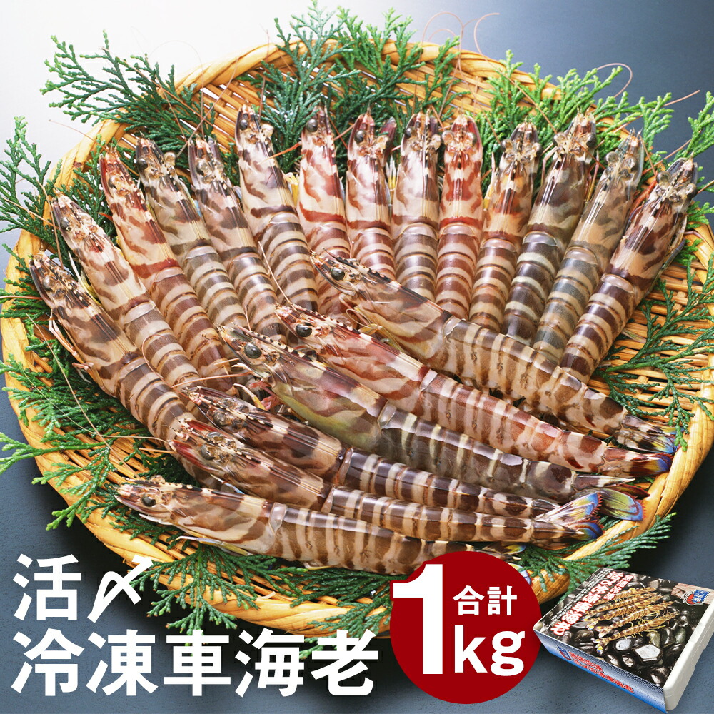 【ふるさと納税】天草産活〆冷凍車海老 250g×4パック 合計1kg 28～40尾 くるまえび 海老 海鮮 国産 九州産 熊本県産 冷凍 小分け 真空パック 急速冷凍 送料無料