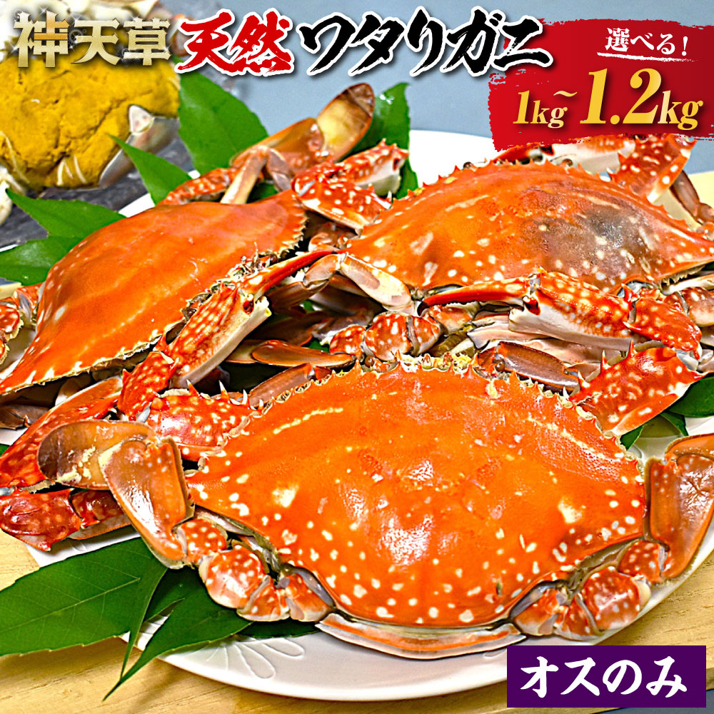 楽天市場】【ふるさと納税】天草産 天然ワタリガニ オス・メス混合 1kg