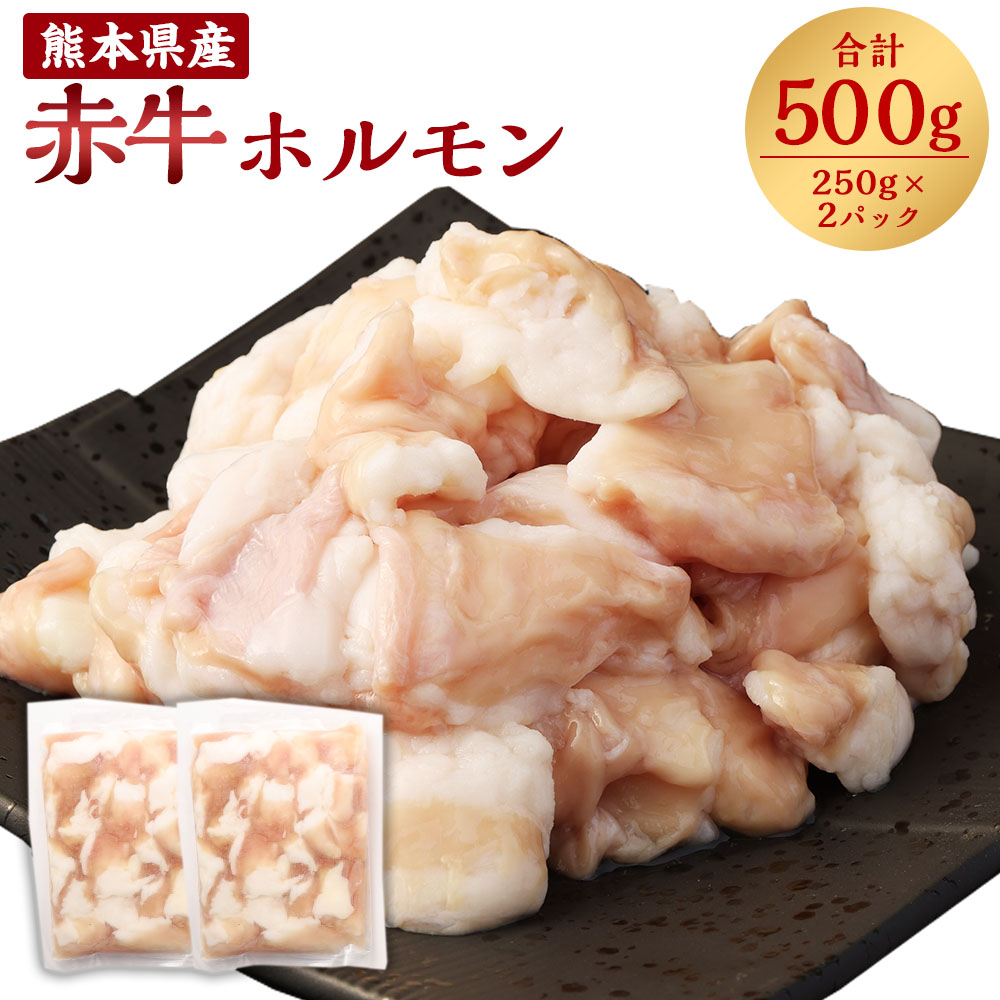 【ふるさと納税】 熊本県産 赤牛 ホルモン 合計500g 250g&times;2パック ホルモン お肉 肉 牛肉 もつ鍋 もつ煮込み 焼肉 牛小腸 小腸 もつ 冷凍 送料無料｜熊本県上天草市