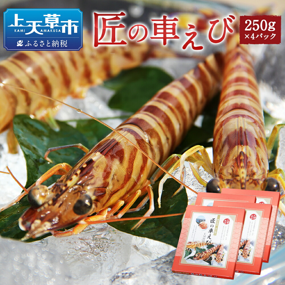 【ふるさと納税】匠の車えび 活き締め急速冷凍 250g&times;4パック 約28尾～40尾 くるまえび 海老 海鮮 国産 九州産 熊本県産 冷凍 ギフト 化粧箱入り 車海老 車海老 送料無料｜熊本県上天草市