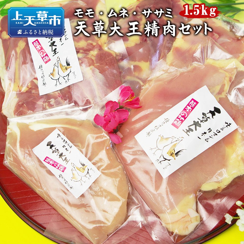 【ふるさと納税】天草大王精肉セット 1.5kg 地鶏 鶏肉 セット 熊本県 上天草産 モモ ムネ ササミ