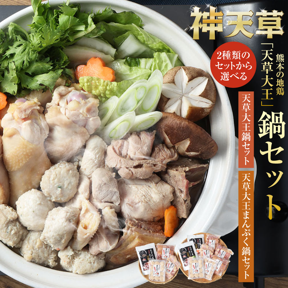 【ふるさと納税】【選べるセット】天草大王鍋セット または 天草大王まんぷく鍋セット 地鶏 鶏肉 セット 熊本県 上天草産 水炊き ぶつ切 手羽元 つみれ団子 ガラスープ 鶏鍋 上天草市 送料無料