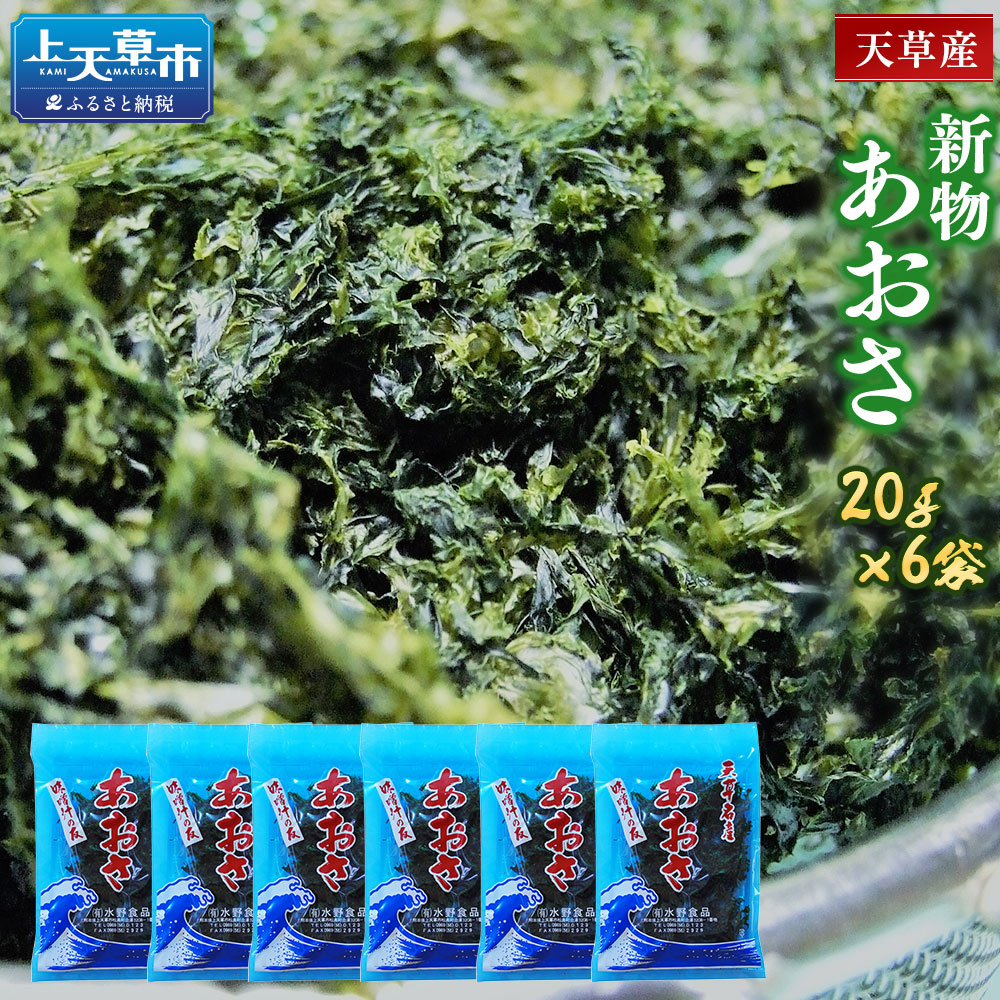 【ふるさと納税】天草産あおさ (乾燥) 20g×6袋 乾燥あおさ アオサ 青のり 熊本県産 九州 海藻 あおさ のり 青さのり あおさ海苔 味噌汁 aosa ヒトエグサ 熊本フード ふるさと納税天草市 ふるさと納税あおさ 故郷納税 返礼品 味噌汁の具 お味噌汁 高級食材 乾物 小分け