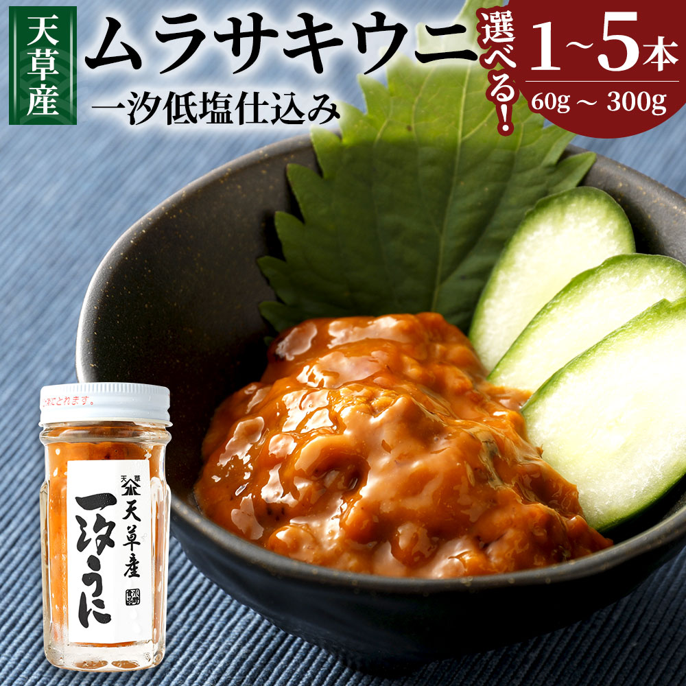 【ふるさと納税】天草産ムラサキウニ (一汐低塩仕込み) 【選べる内容量】 1～5本 60g / 合計120g / 合計180g / 合計300g 塩 甘塩うに うに むらさきうに ウニ うに 熊本県産 九州 冷凍 送料無料｜熊本県上天草市 26,250円
