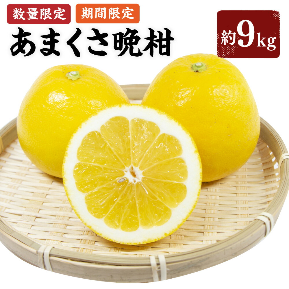 【ふるさと納税】【先行受付】【数量限定】あまくさ晩柑 約9kg 晩柑 ばんかん 柑橘 フルーツ 果物 くだもの 上天草市産 熊本県産 九州産 国産 送料無料 【2027年3月上旬～4月下旬順次発送】｜熊本県上天草市