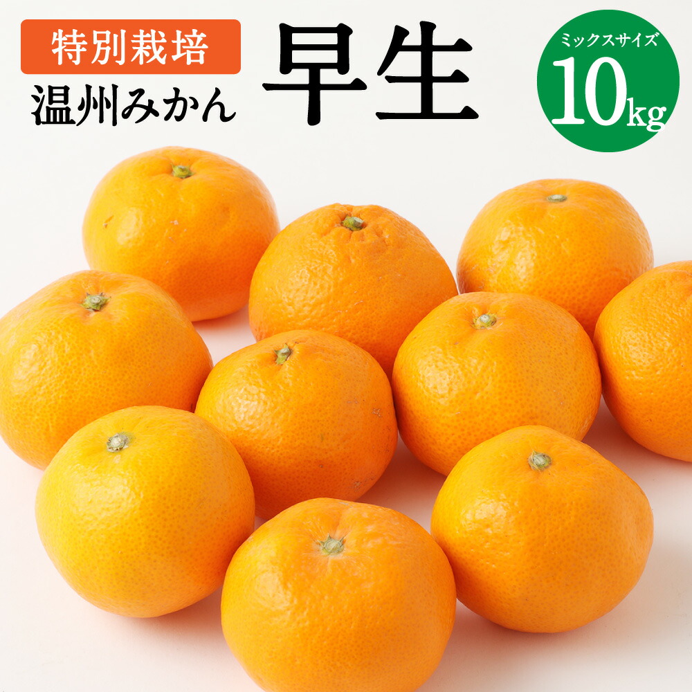 年間ランキング6年連続受賞 特別栽培 温州みかん 早生 10kg サイズミックス 柑橘類 名産品 熊本県産 上天草市産 柑橘 果物 フルーツ みかん 国産 九州産 送料無料 11月上旬より順次発送 Fucoa Cl