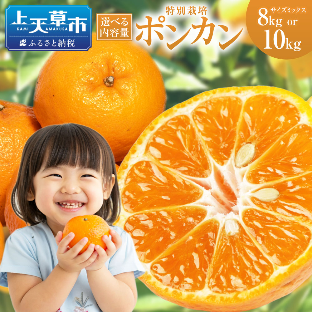 『八天狗』5kg ＋柑橘4kg熊本県産 八天狗』5kg ＋柑橘4kg熊本県産