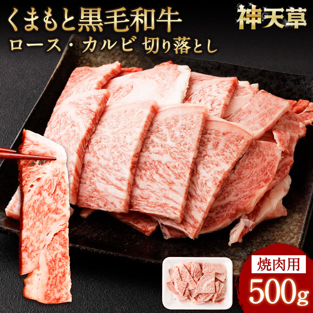【ふるさと納税】くまもと黒毛和牛 焼肉用 ロース カルビ 切り落とし 500g お肉 肉 牛肉 和牛 黒毛和牛 肩ロース バラ 焼き肉 BBQ 切落し 厚切り 霜降り 冷凍 九州 国産 熊本県 上天草市 送料無料|熊本県上天草市